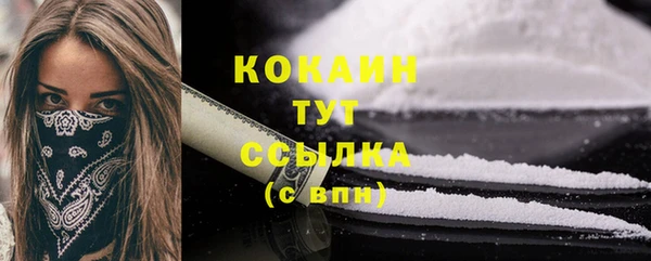 твердый Аркадак