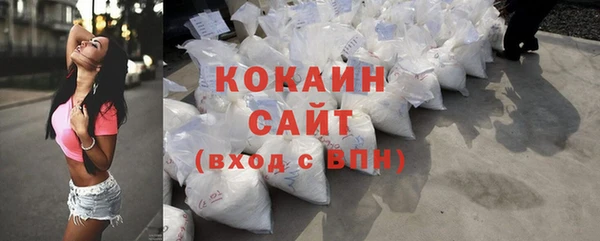 твердый Аркадак