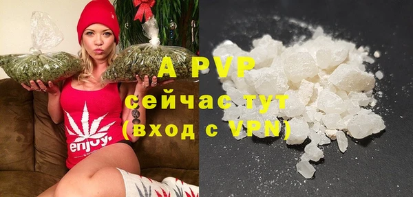 твердый Аркадак
