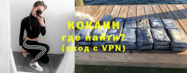 прущие грибы Семилуки