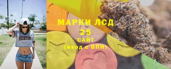 твердый Аркадак