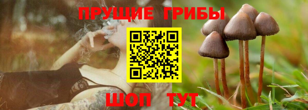 дарнет шоп  Вход с VPN  Галлюциногенные грибы Cubensis  Чистополь  Псилоцибиновые грибы Cubensis 