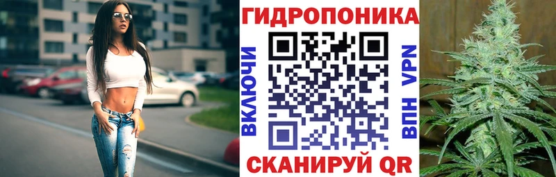 Каннабис тримм  купить закладку  Чистополь 